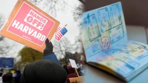 <p>Muchas universidades de Estados Unidos han reportado que algunos de sus estudiantes extranjeros han sido deportados por el gobierno de Donald Trump</p>
