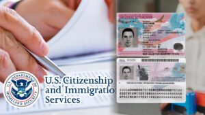 <p>Descubre cómo vivir legalmente en Estados Unidos con visas que ofrecen una alternativa al Documento de Autorización de Empleo.</p>
