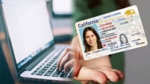 <p>Habitantes de cuatro estados evitarán largas colas para tramitar el Real ID al poder realizarlo de manera online.</p>
