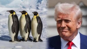 <p>La nueva política de Trump desata burlas por imponer aranceles a islas habitadas por focas y pingüinos. Conoce aquí la razón de esta medida.</p>
