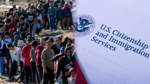 <p>La decisión de USCIS de eliminar la traducción de documentos implica una barrera para inmigrantes que realicen un trámite y no sepan inglés.</p>

