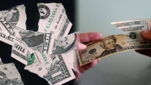 <p>Muchos guardan dólares dañados sin saber qué hacer con ellos. Conoce qué pasos seguir para proteger tu dinero sin complicaciones legales ni pérdidas.</p>

