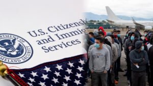 <p>Si tu situación migratoria en Estados Unidos es complicada, puedes optar por salir del país voluntariamente, lo que a su vez te puede brindar ayudas económicas de hasta U$D 1 000.</p>
