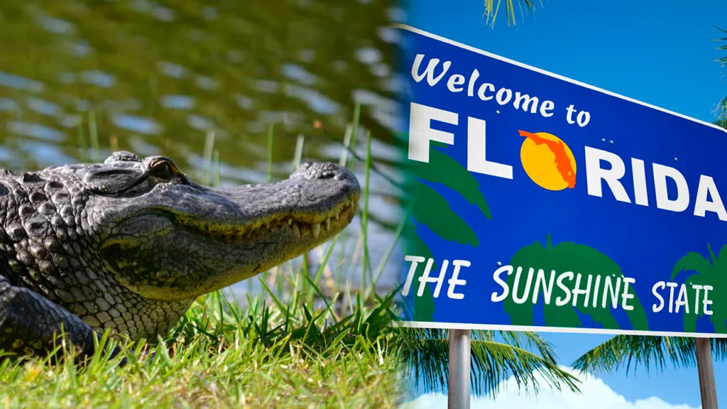 Caimán asusta visitantes en Florida