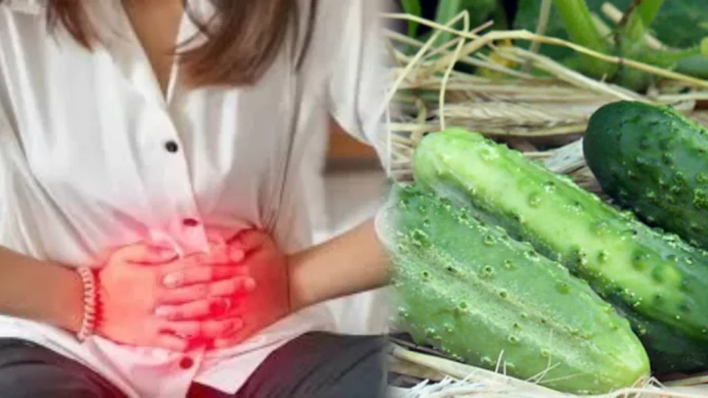 FDA en USA: Este es la marca de pepinillos contaminado con salmonella