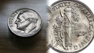 <p>Algunas monedas comunes podrían esconder valores sorprendentes. Aprende a identificar pistas para descubrir posibles tesoros en tu colección.</p>
