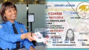 Las diferencias entre una Licencia de Conducir Mejorada y el Real ID en Estados Unidos