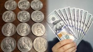 <p>El murciélago en la moneda de 2020 refleja una apuesta por la conservación, pero hoy también representa una joya buscada en el mundo de la numismática.</p>
