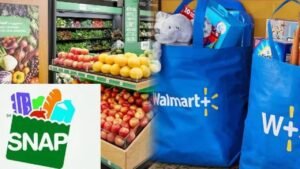 ¿Qué puedes comprar con Cupones SNAP en Walmart? Lista de productos que puedes adquirir con tarjeta TBT